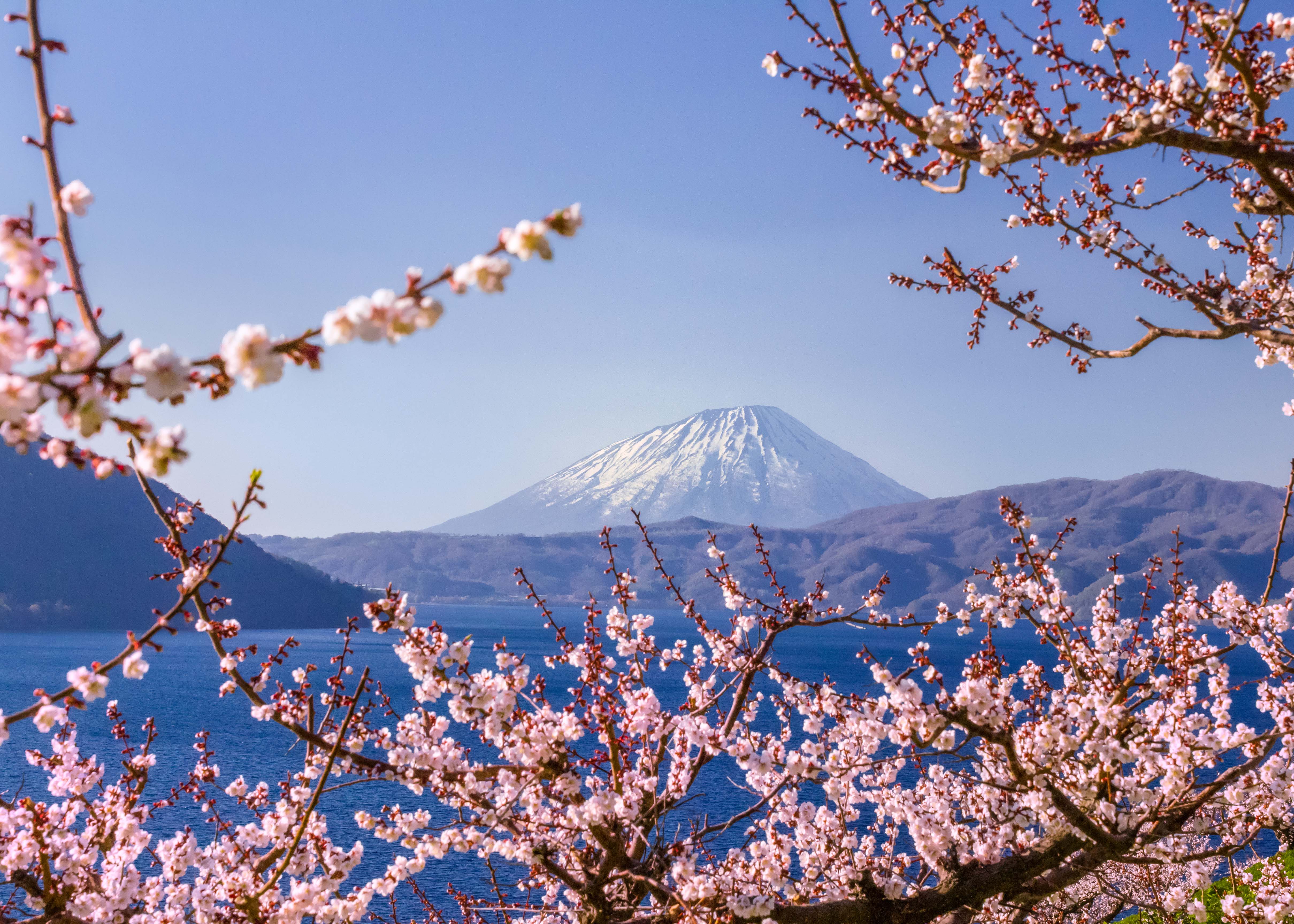 The 20 Most Captivating Destinations For 2024 Departures Magazine   Niseko Istock 920377824 