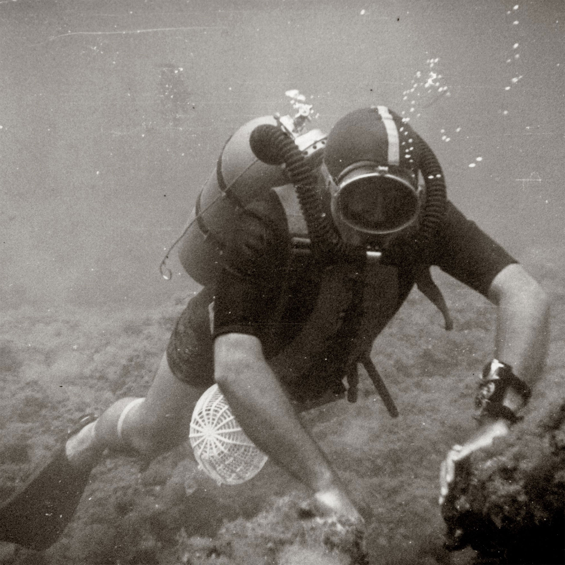 Blancpain and the History of the Diving Watch Departures Magazine